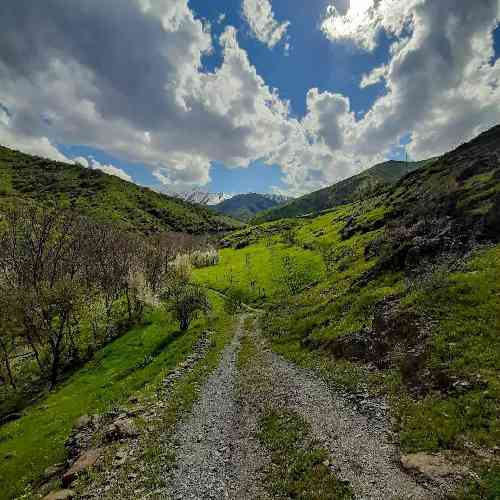 با صدای بچه هی هم ایران به دنیا اومدیم هم پول نداریم هم واکسن نداریم